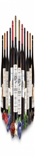 Entdeckerpaket Best of Frankreich Rotwein