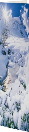 Grußkarte Winterwald