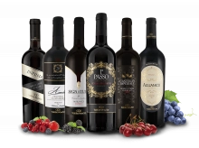 Die besten Rotweine von Torrevento