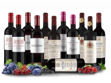 Entdeckerpaket Best of Bordeaux