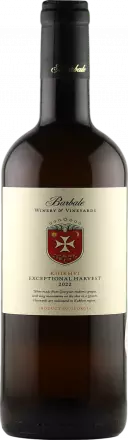 Barbale Rkatsiteli Khikhvi 2022 von Barbale