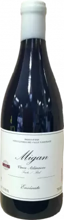 Envinate Migan Tinto 2022 von Envinate