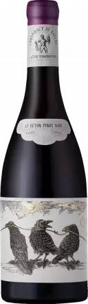 Orpheus & The Raven Conspiracy of Ravens 2022 von Orpheus & The Raven