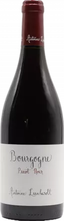 Antoine Lienhardt Bourgogne Rouge 2023 von Antoine Lienhardt