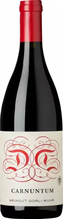 Dorli Muhr Carnuntum 2022 von Dorli Muhr