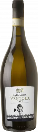 La Bollina Gavi Ventola 2023 von La Bollina