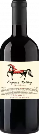 Papari Valley 3 Qvevri Terraces Saperavi 2023 von Papari Valley