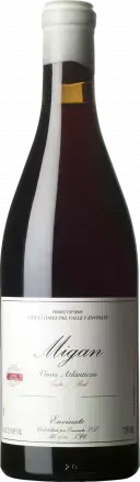 Envinate Migan Tinto 2024 von Envinate