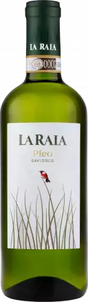 La Raia Gavi Pleo 2024 von La Raia